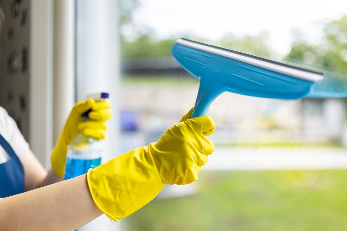 Professional window cleaning service